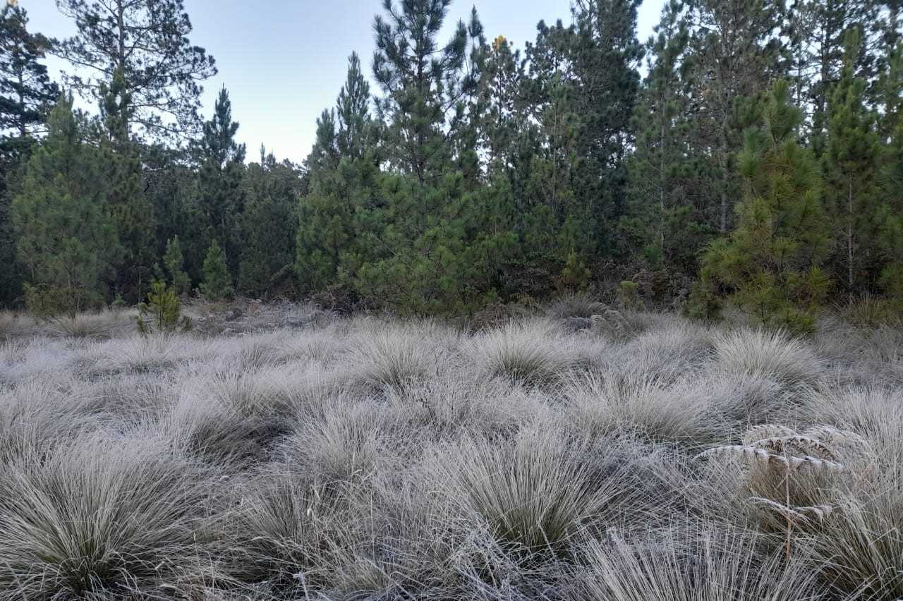 Temperaturas este viernes en Valle Nuevo