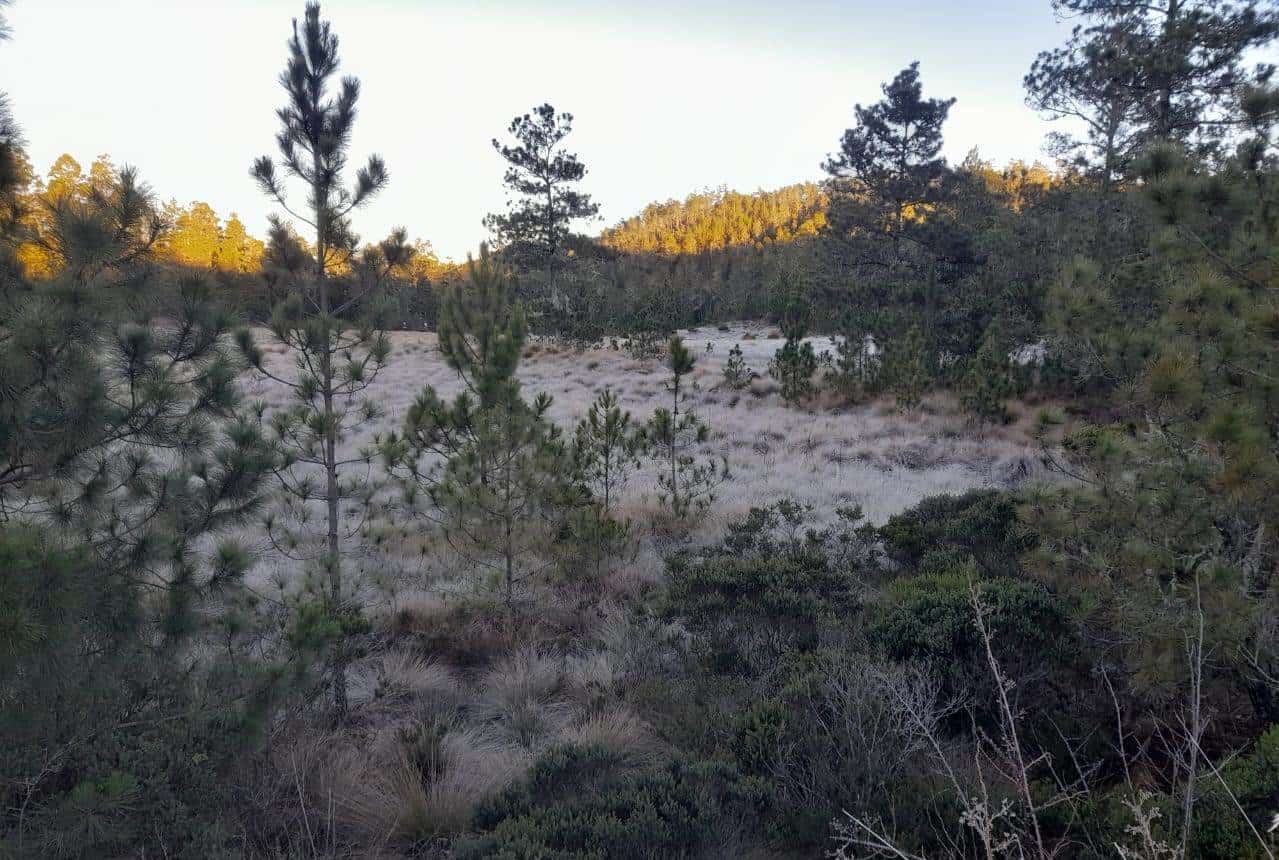 Temperaturas este viernes en Valle Nuevo