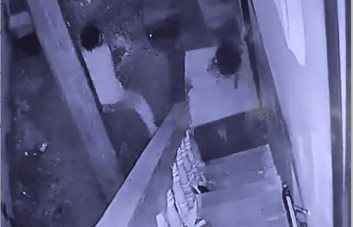 Hombre mata un perro a machetazos en Los Girasoles; exigen su apresamiento