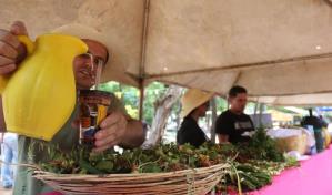 Paraguay celebra el día del tereré, una bebida símbolo de fraternidad