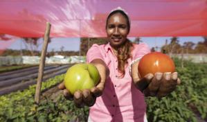 Comunidades de Higüey buscan crecer con proyecto agrícola para abastecer hoteles y otros negocios