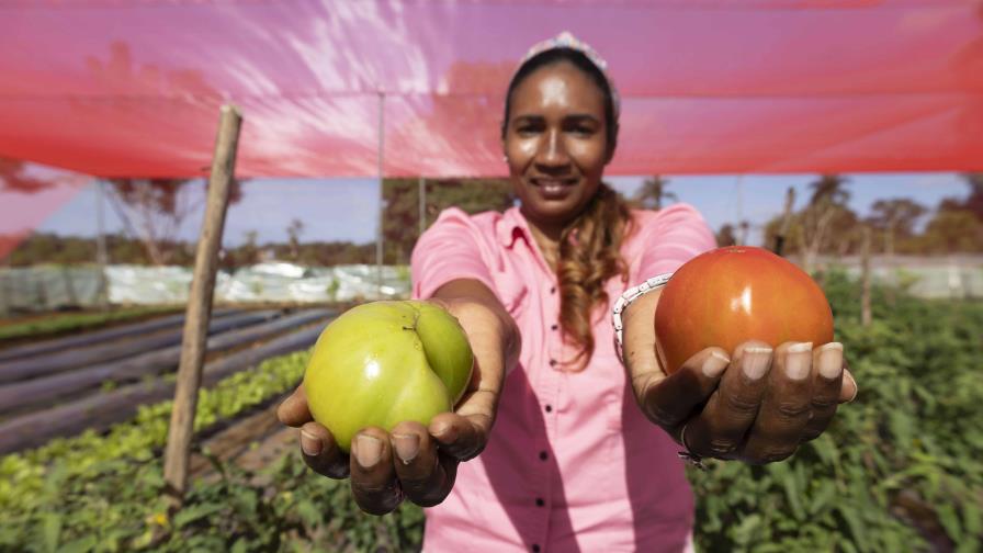 Comunidades de Higüey buscan crecer con proyecto agrícola para abastecer hoteles y otros negocios