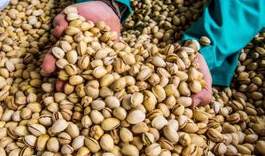 Pistacho, la nuez de la sonrisa que cuenta con día propio