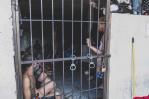 Presentarán ante CIDH informe sobre “deterioro” del sistema penitenciario en República Dominicana
