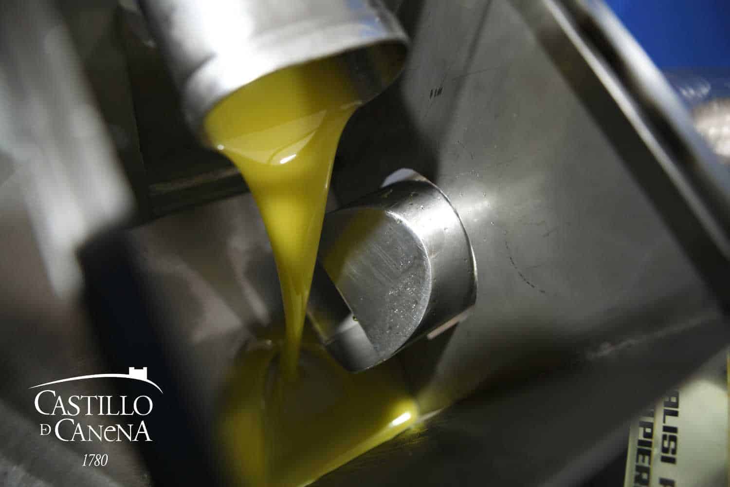 Elaboración de aceite de oliva dentro de la empresa Castillo de Canena.