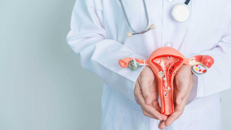 Un estudio asocia contaminantes ambientales con mayor riesgo de cáncer de endometrio