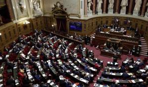 El Senado francés aprueba la inclusión del aborto en la Constitución