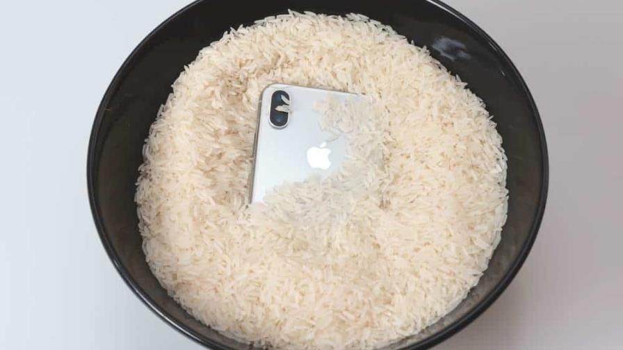 Apple revela que es un error poner el celular en arroz cuando se te cae dentro del agua