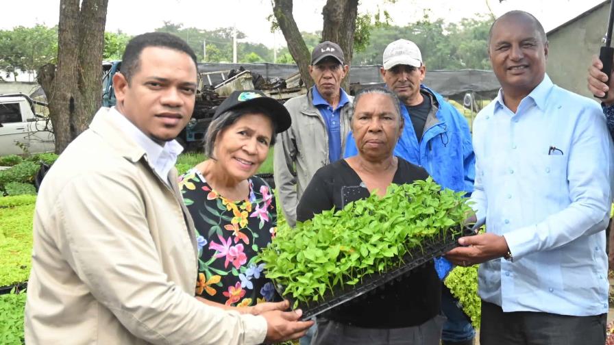 Ministerio de Agricultura distribuye más de 300,000 plantas de hortalizas a productores del nordeste
