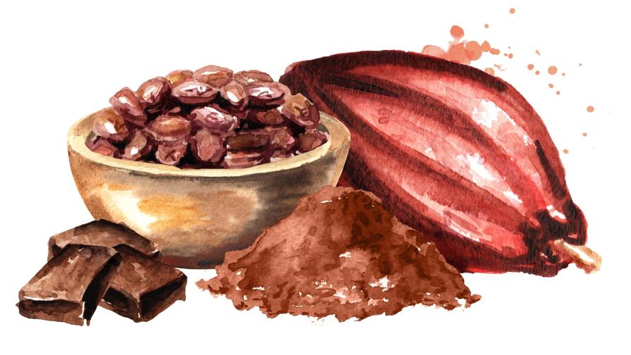 Cacao o No-Cacao