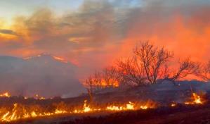 Dos fallecidos en el mayor incendio forestal de la historia de Texas