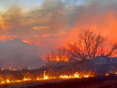 Dos fallecidos en el mayor incendio forestal en la historia de Texas