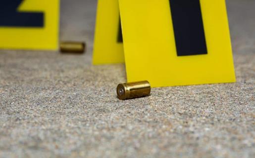Cinco muertos en tiroteo dirigido contra una familia en Illinois; dos adolescentes fueron detenidos