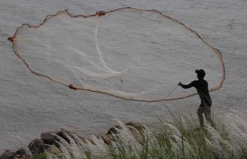 Una quinta parte de los peces del río Mekong corren peligro de extinción, según estudio