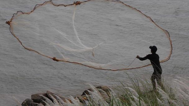 Una quinta parte de los peces del río Mekong corren peligro de extinción, según estudio