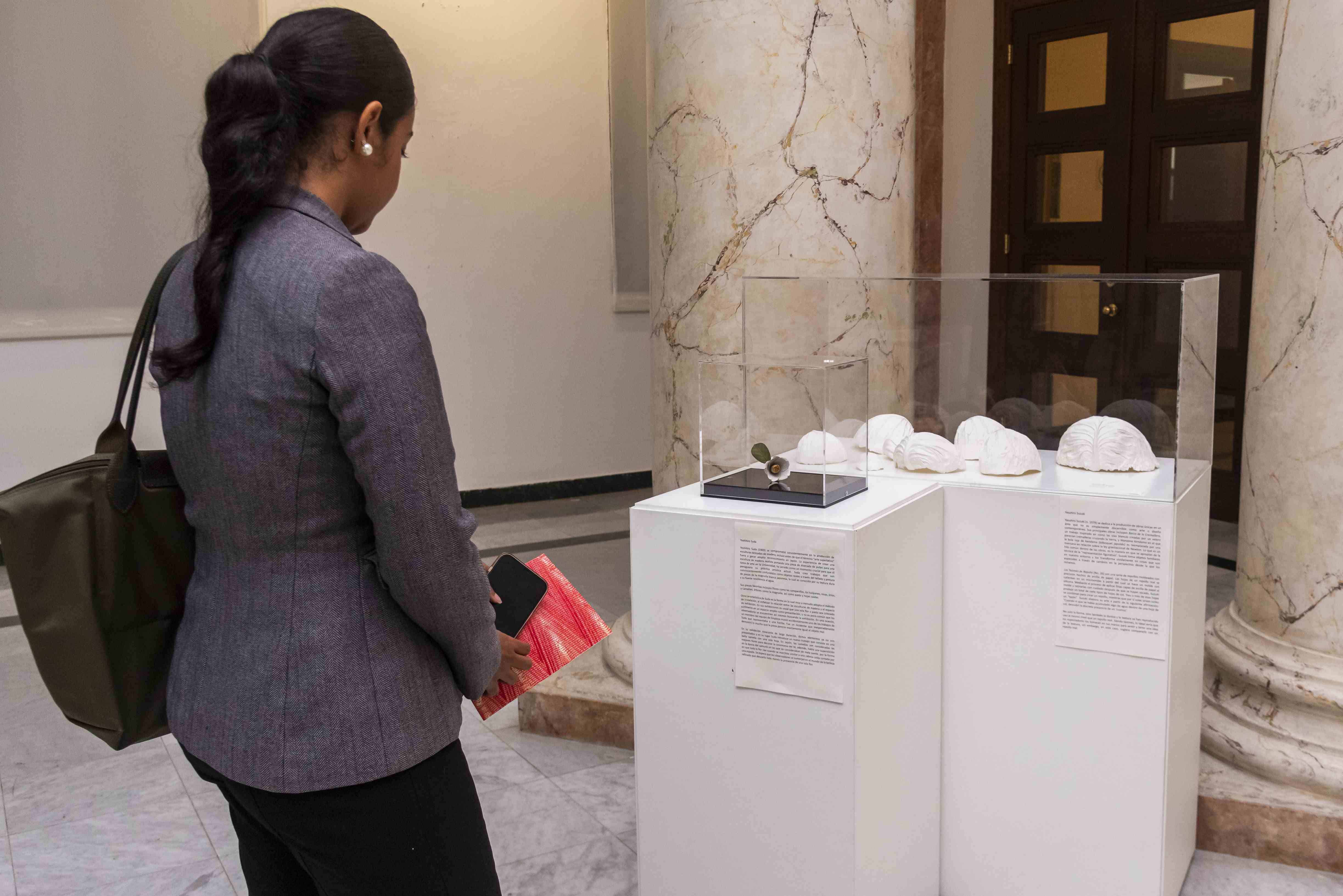 Una invitada aprecia la obra de <br>Yasuhiro Suzuki (n. 1979), dedicado a la producción de obras únicas en un área que no es simplemente discernible como arte contemporáneo o diseño. Sus principales obras incluyen Ship of the Zipper, una obra inspirada en cómo las olas blancas creadas por un velero parecían cremalleras atravesando la tierra, y Apple Kendama en la que la bola roja de Kendama (bilboquet japonés) es reemplazada por un Apple a cuestas con la anécdota sobre la ley de gravitación de Newton. 