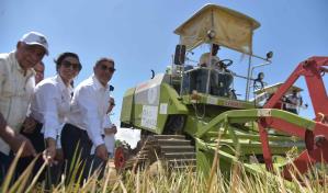 Gobierno inaugura nueva estación experimental arrocera en Montecristi