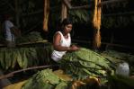 Las mujeres y los pobres en el campo son los más afectados por el cambio climático, según la FAO