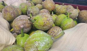 La JAD anuncian Feria Internacional de las Castaña de Masa