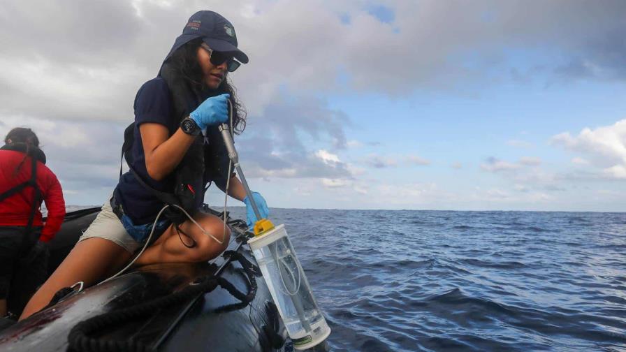 Científicos estudian migravía submarina que une Panamá, Costa Rica, Colombia y Ecuador