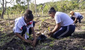 Realizan jornada de reforestación con método Miyawaki en comunidad de SDN
