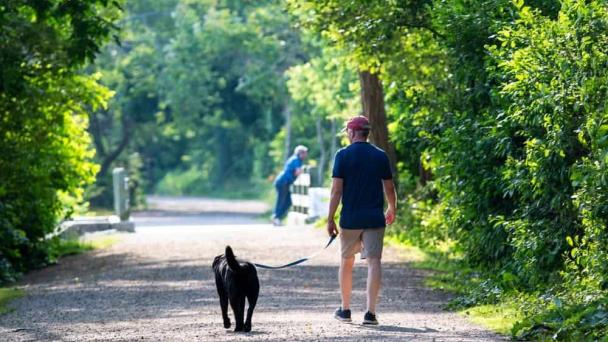 Hallan restos humanos en un bosque de Nueva York