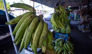 Banco Central: Inflación en febrero fue del 0.09 % y bajaron precios de varios alimentos