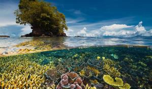 Científicos reclaman un plan a largo plazo para conservar la biodiversidad de La Tierra