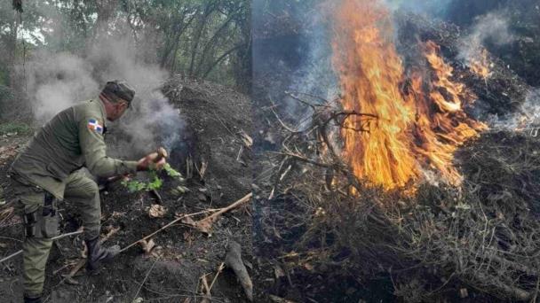Senpa apresó a 368 personas por delitos ambientales durante febrero
