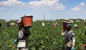 Empresarios y activistas piden que Biden amplíe los permisos de trabajo para inmigrantes