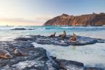 Greenpeace pide crear primera reserva marina en altamar junto a Galápagos Greenpeace pide crear primera reserva marina en altamar junto a Galápagos