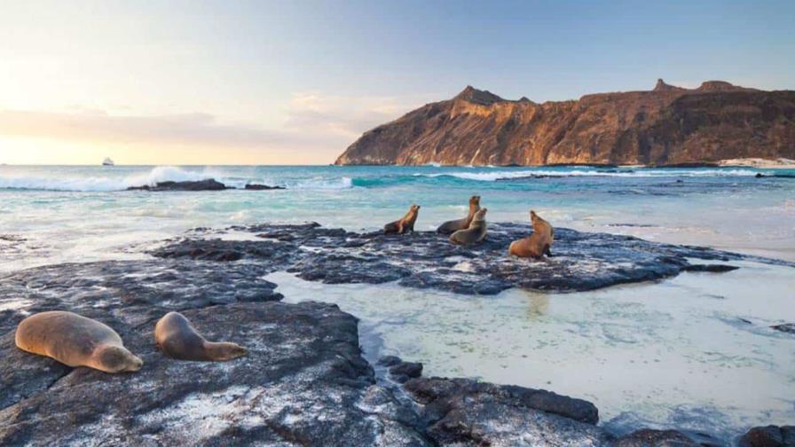 Greenpeace pide crear primera reserva marina en altamar junto a Galápagos