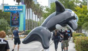 El Miami Seaquarium pide al Gobierno de Miami que anule su aviso de desalojo