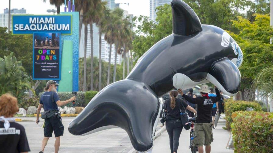 El Miami Seaquarium pide al Gobierno de Miami que anule su aviso de desalojo