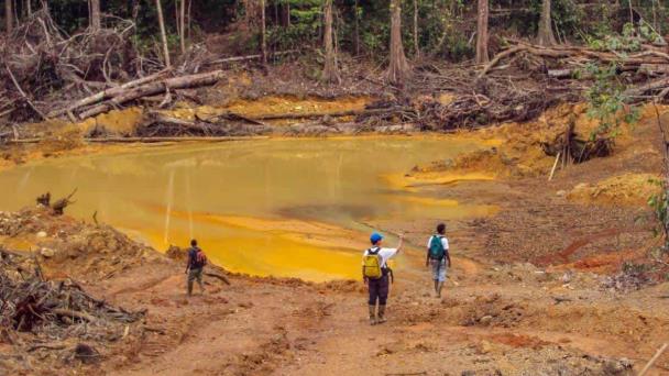 Personas y ecosistemas, cada vez más expuestos a la contaminación por mercurio