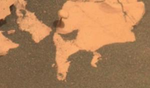 El rover Perseverance encuentra una seta en el suelo de Marte