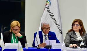 Senadores ante el ParlAméricas piden a la comunidad internacional atender crisis haitiana