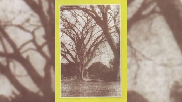 Tamboril, sus mujeres y “Tabaré”
