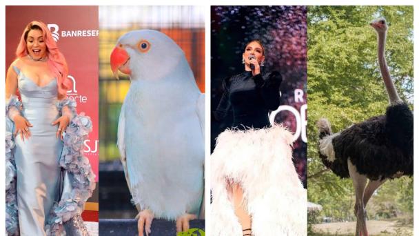 Los memes que dejaron los looks de los asistentes a la alfombra roja de Premios Soberano