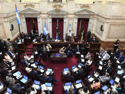 El Ejecutivo argentino critica rechzado sufrido en el Senado