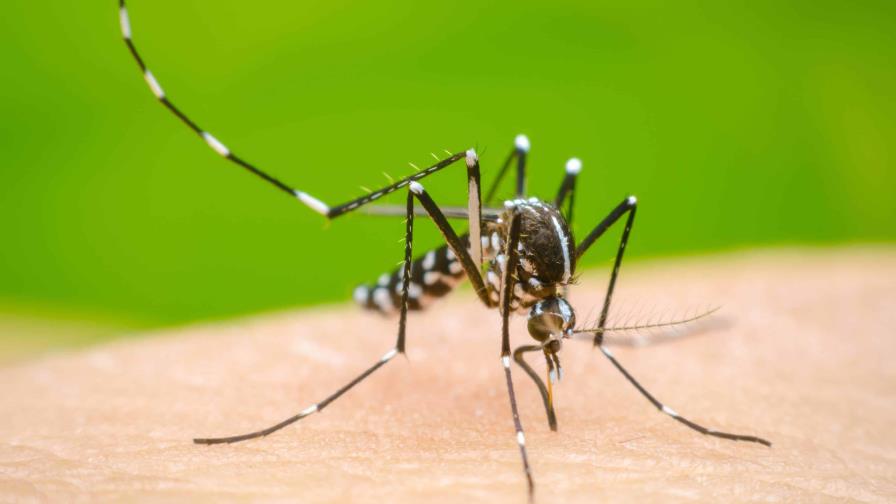 Los casos de dengue suben un 385 % en México
