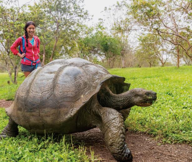 Galápagos, en riesgo; espera ser modelo de conservación