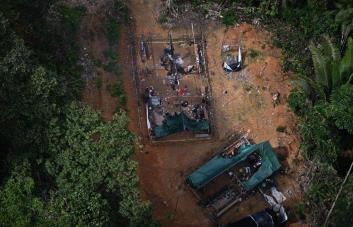 Deforestación ilegal en la Amazonía brasileña cayó un 63 % en el primer bimestre de 2024