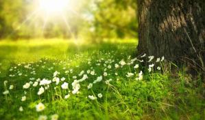 ¿Cuándo empieza la primavera de 2024?