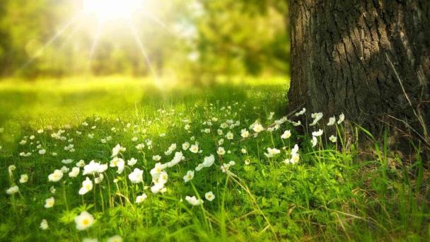 ¿Cuándo empieza la primavera de 2024?