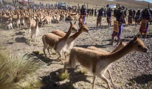 La marca de lujo LVMH y su filial Loro Piana, acusadas de explotar a campesinos andinos en Perú