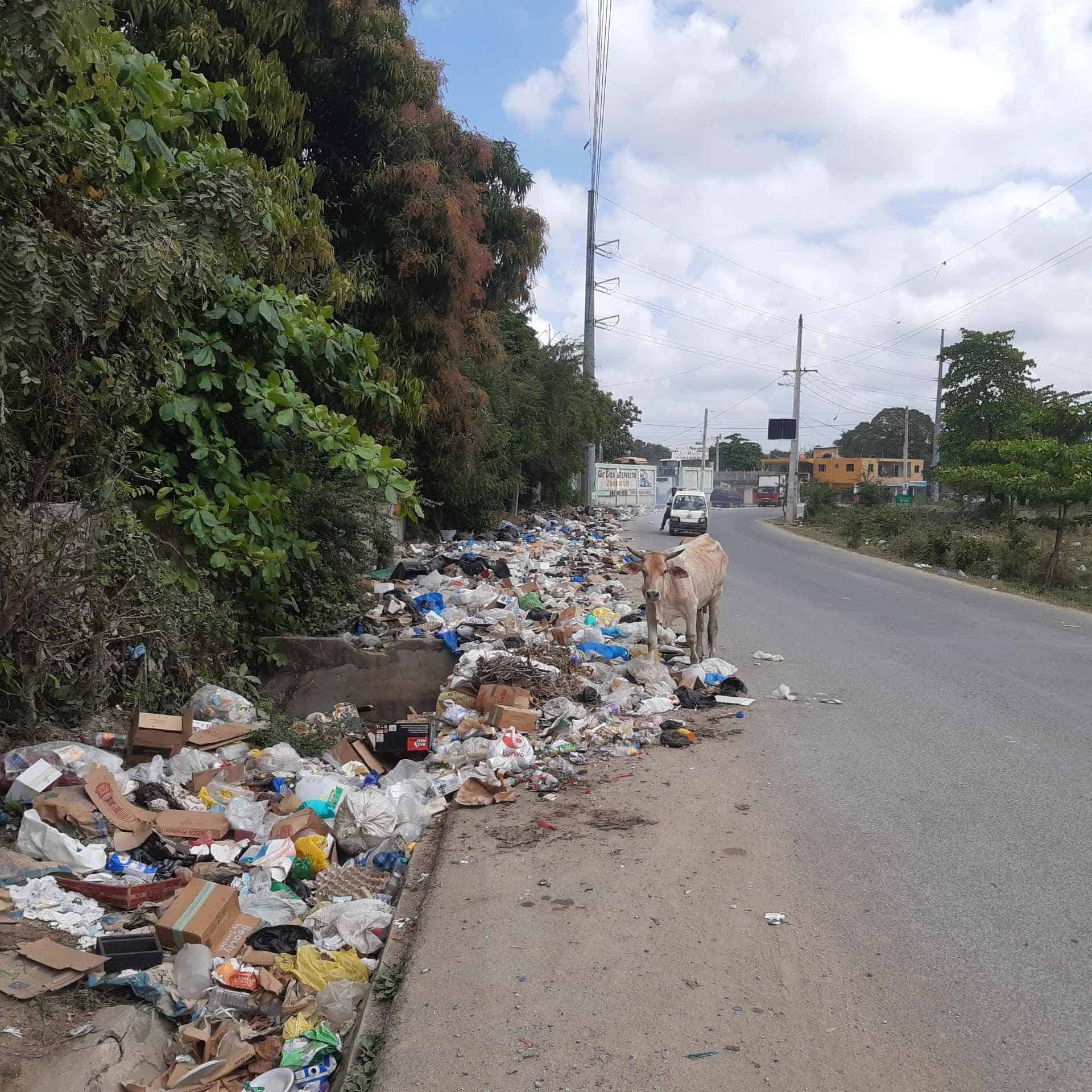 La gente deposita la basura en cualquier carretera