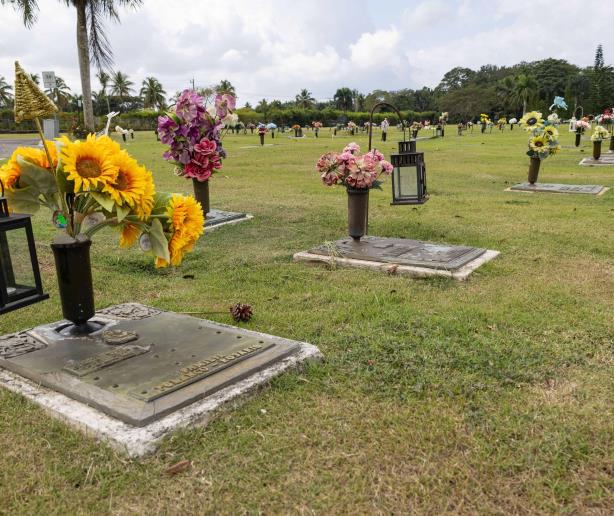 Negocio en torno a la muerte: exclusividad y alto costo en los cementerios privados