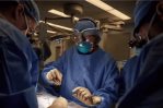 Cirujanos de EEUU trasplantan por primera vez un riñón de cerdo a un paciente vivo