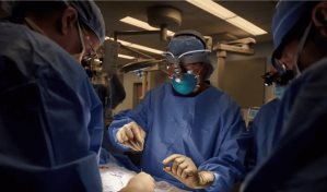 Cirujanos de EEUU trasplantan por primera vez un riñón de cerdo a un paciente vivo